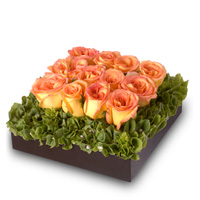 Tulipanes Exóticos - Regalar Rosas, Regalar tulipanes, regalar flores,regalar arreglos florales, regalar regalos